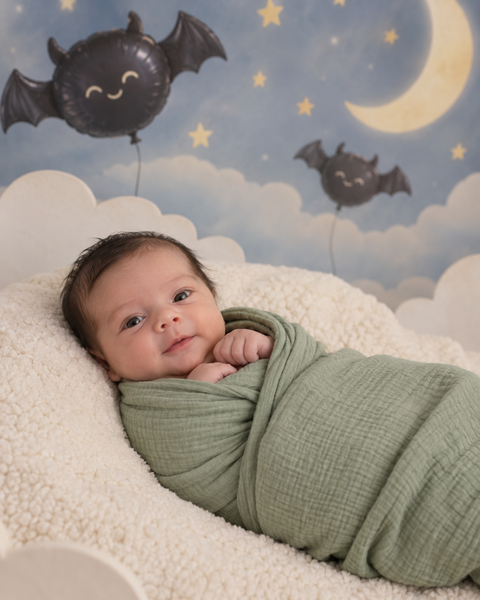 Bat Balloon Sky — baby photo style